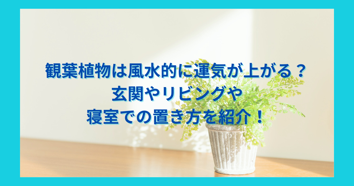 観葉植物は風水的に運気が上がる？玄関やリビングや寝室での置き方を紹介！